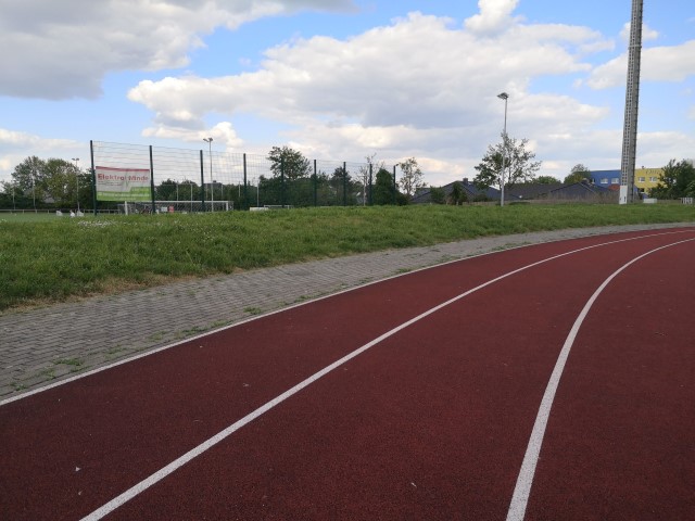Der Pachtgarten des Editha-Gymnasiums in Magdeburg im März 2022